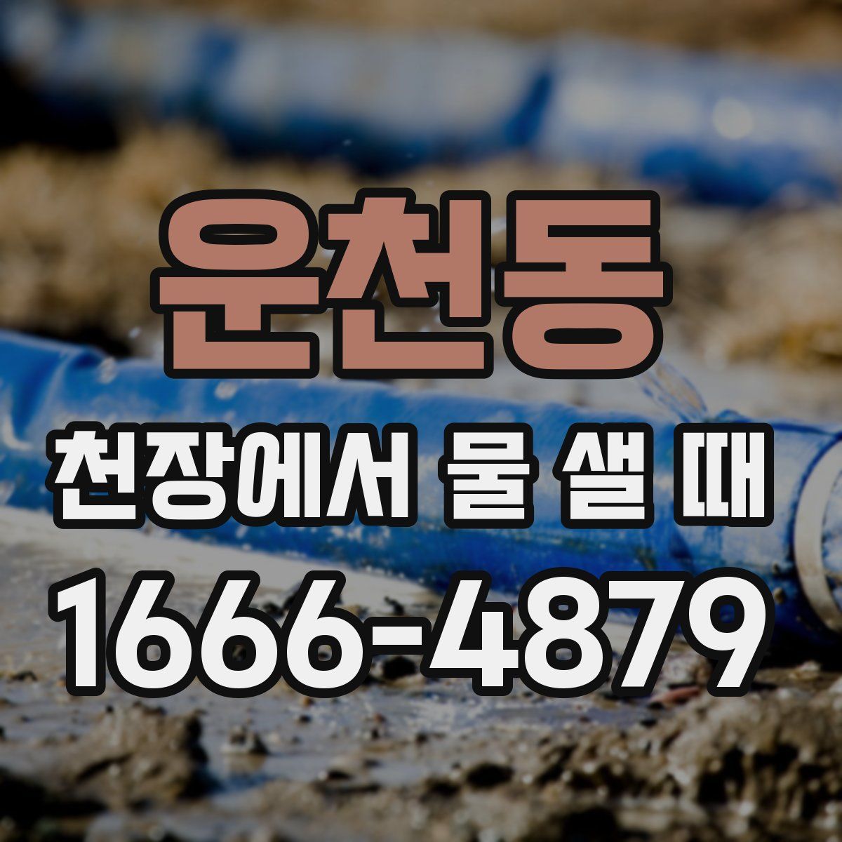 운천동 천장에서 물 샐 때