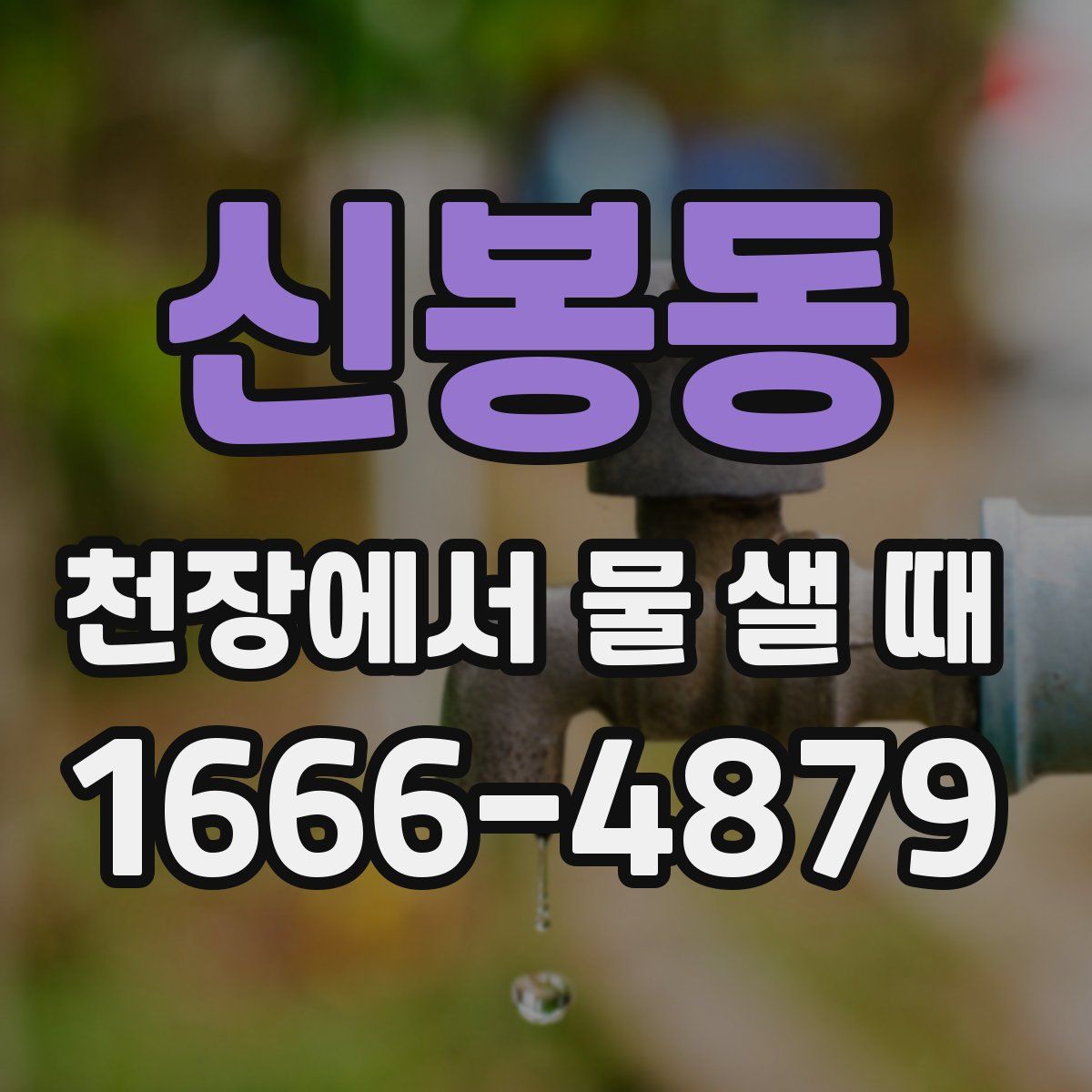 신봉동 천장에서 물 샐 때
