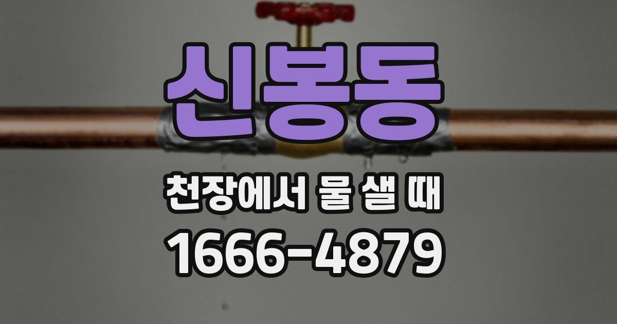 신봉동 천장에서 물 샐 때