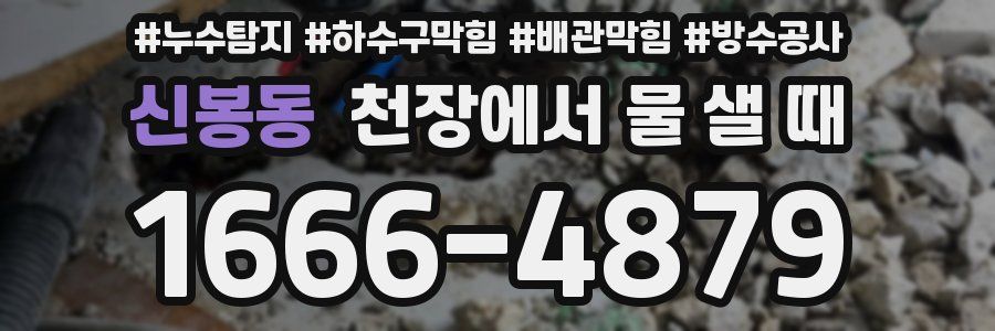 신봉동 천장에서 물 샐 때