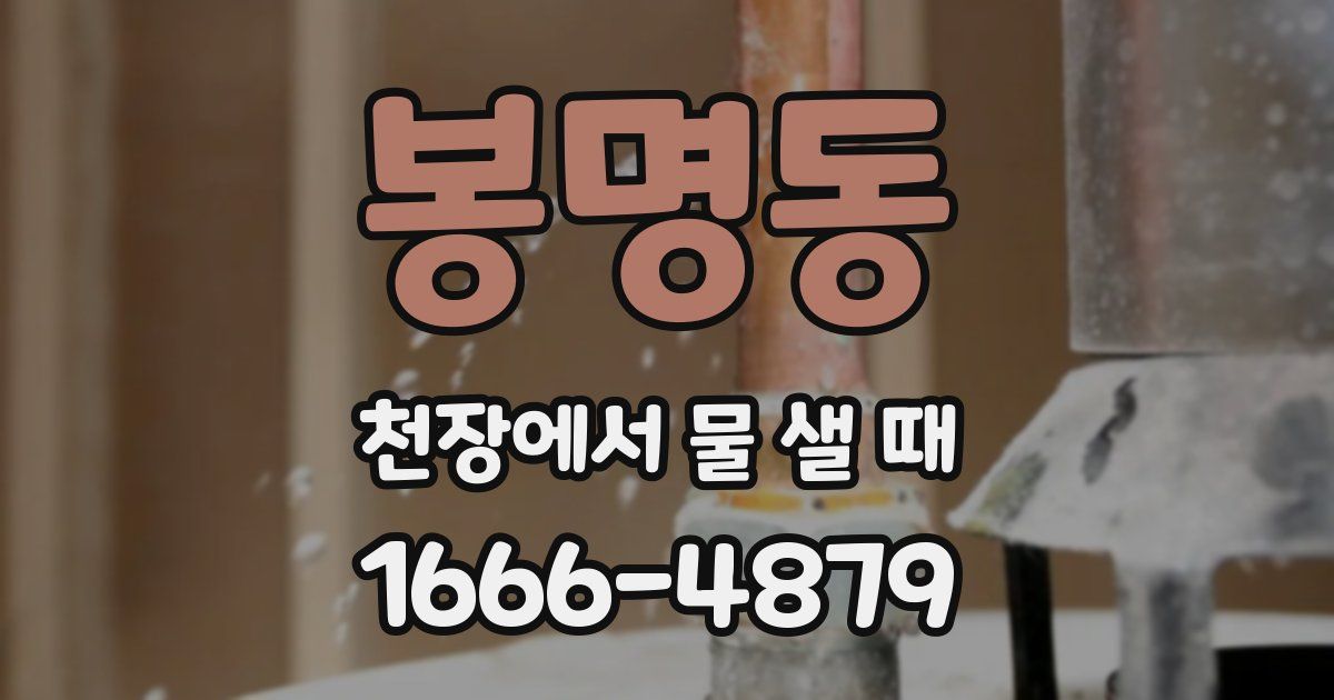 봉명동 천장에서 물 샐 때