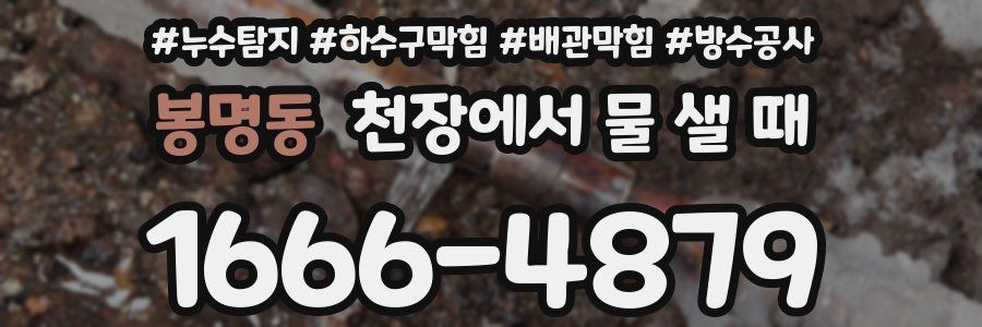 봉명동 천장에서 물 샐 때