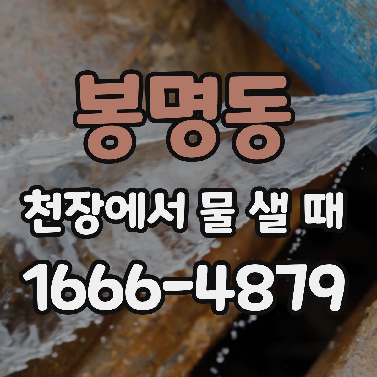 봉명동 천장에서 물 샐 때