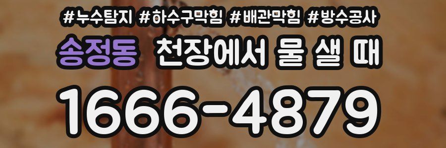 송정동 천장에서 물 샐 때
