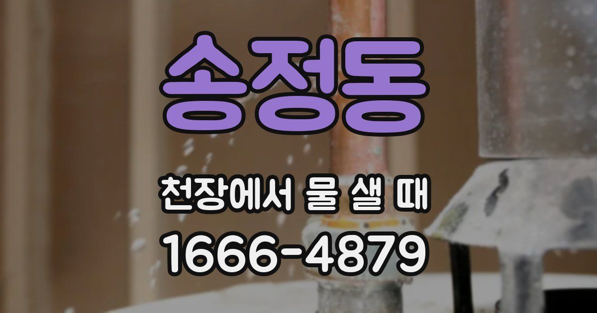 송정동 천장에서 물 샐 때