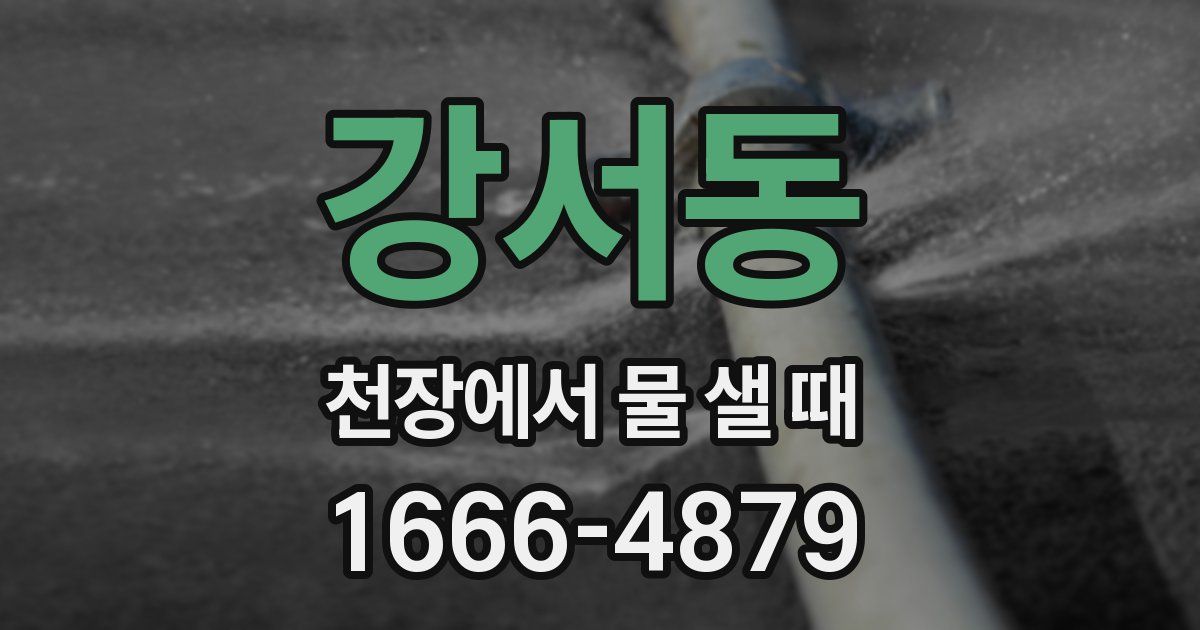강서동 천장에서 물 샐 때