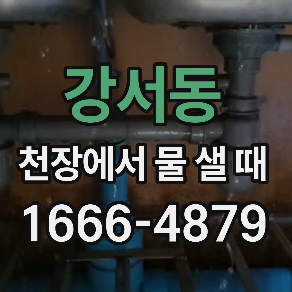 강서동 천장에서 물 샐 때