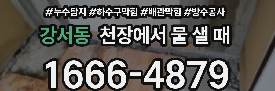 강서동 천장에서 물 샐 때