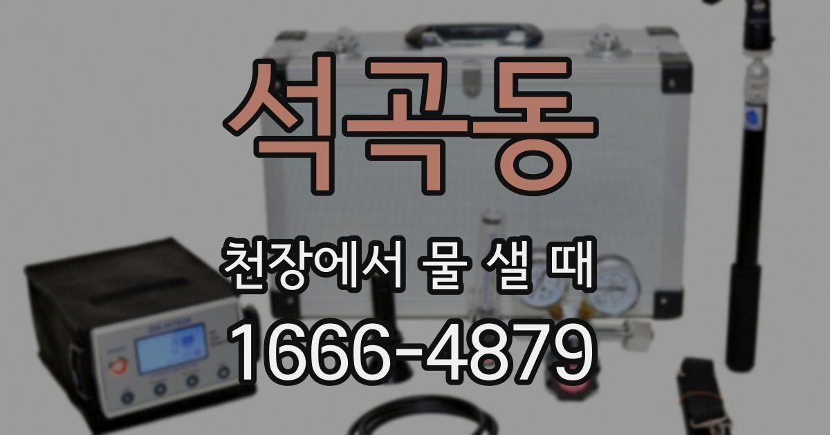 석곡동 천장에서 물 샐 때