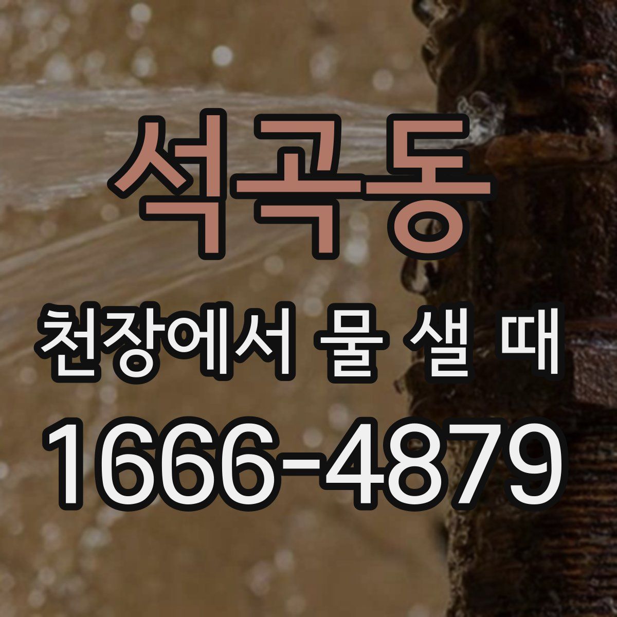 석곡동 천장에서 물 샐 때