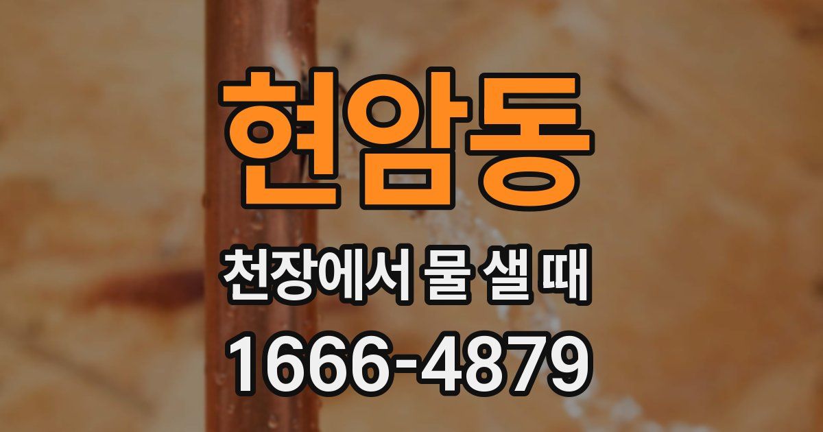 현암동 천장에서 물 샐 때