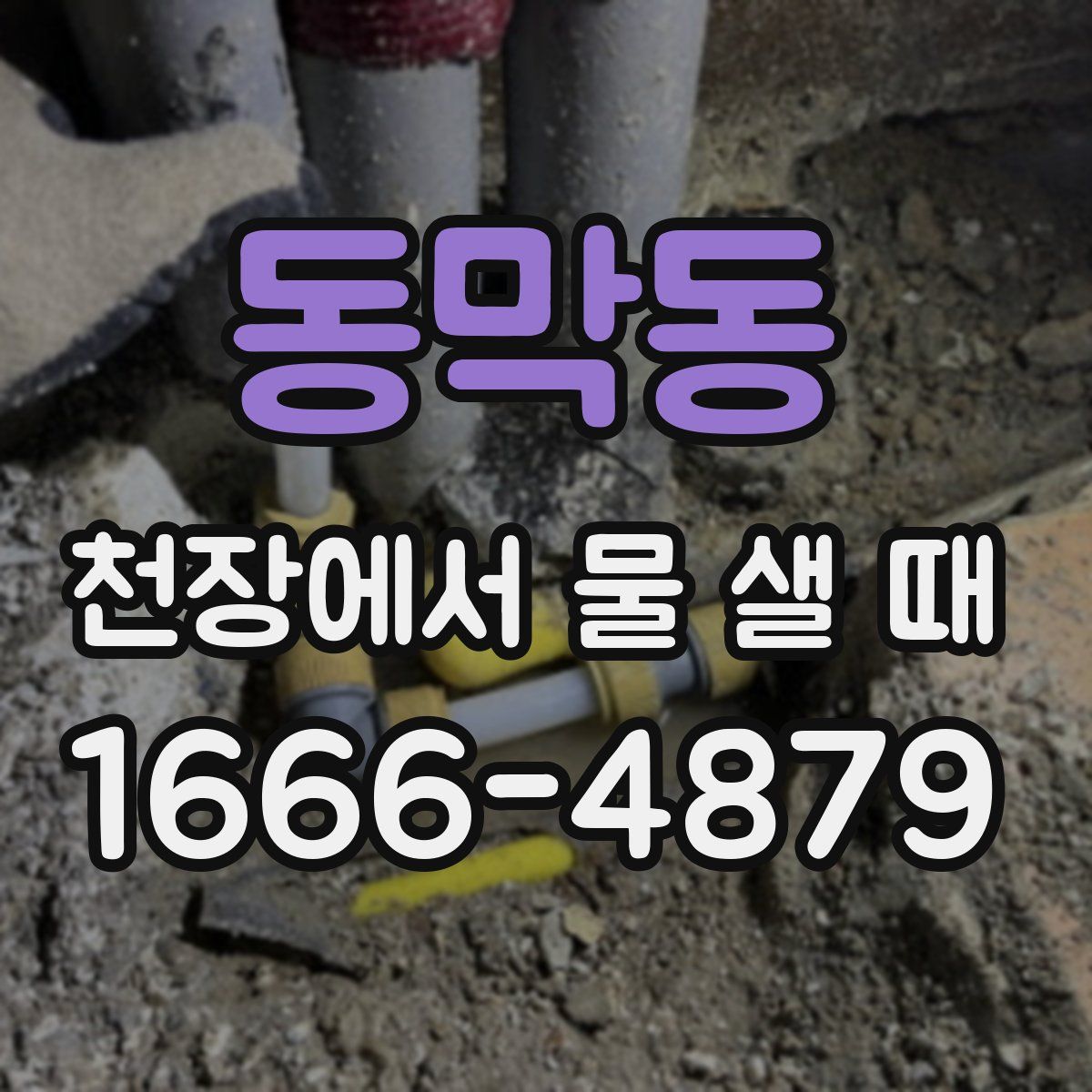 동막동 천장에서 물 샐 때