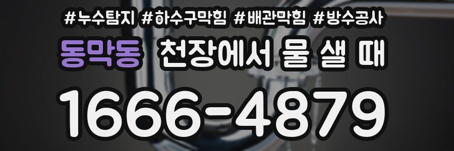 동막동 천장에서 물 샐 때