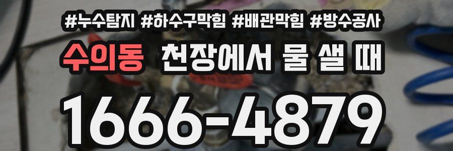 수의동 천장에서 물 샐 때