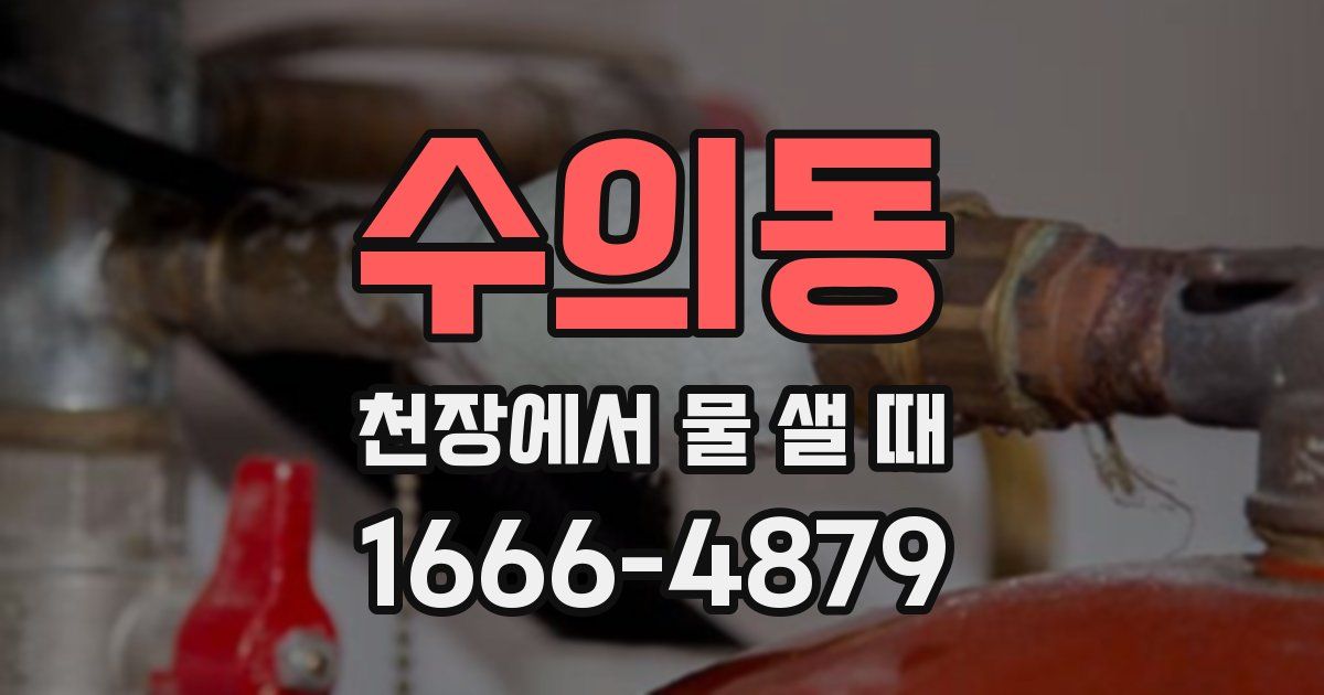수의동 천장에서 물 샐 때