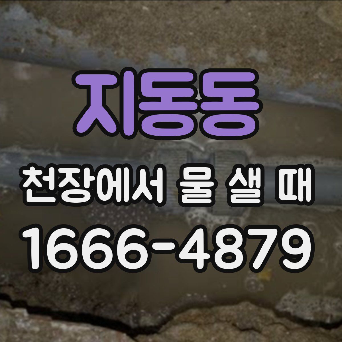 지동동 천장에서 물 샐 때
