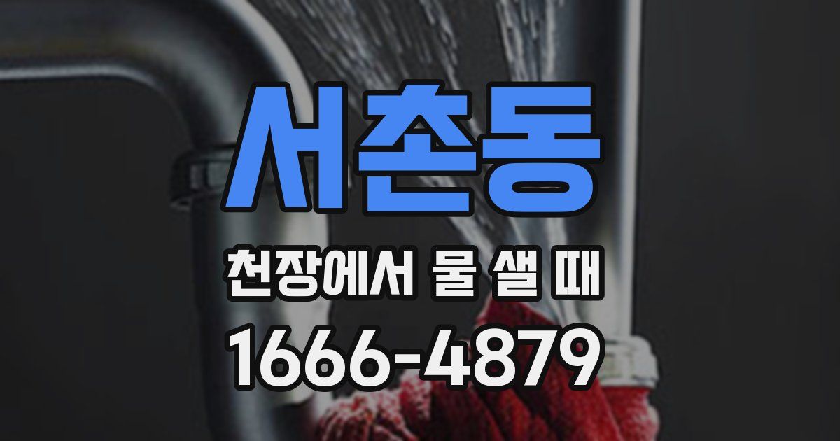 서촌동 천장에서 물 샐 때