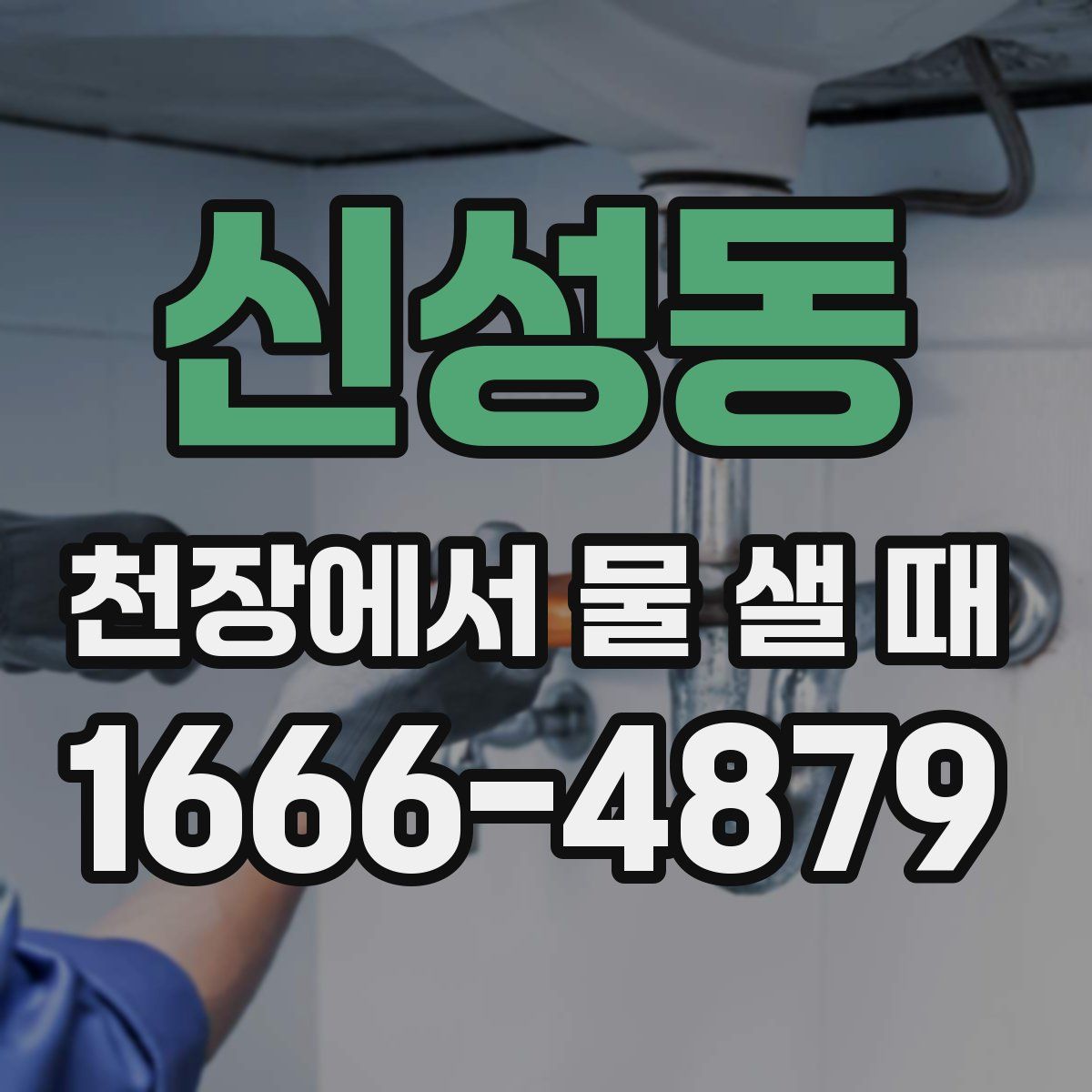 신성동 천장에서 물 샐 때