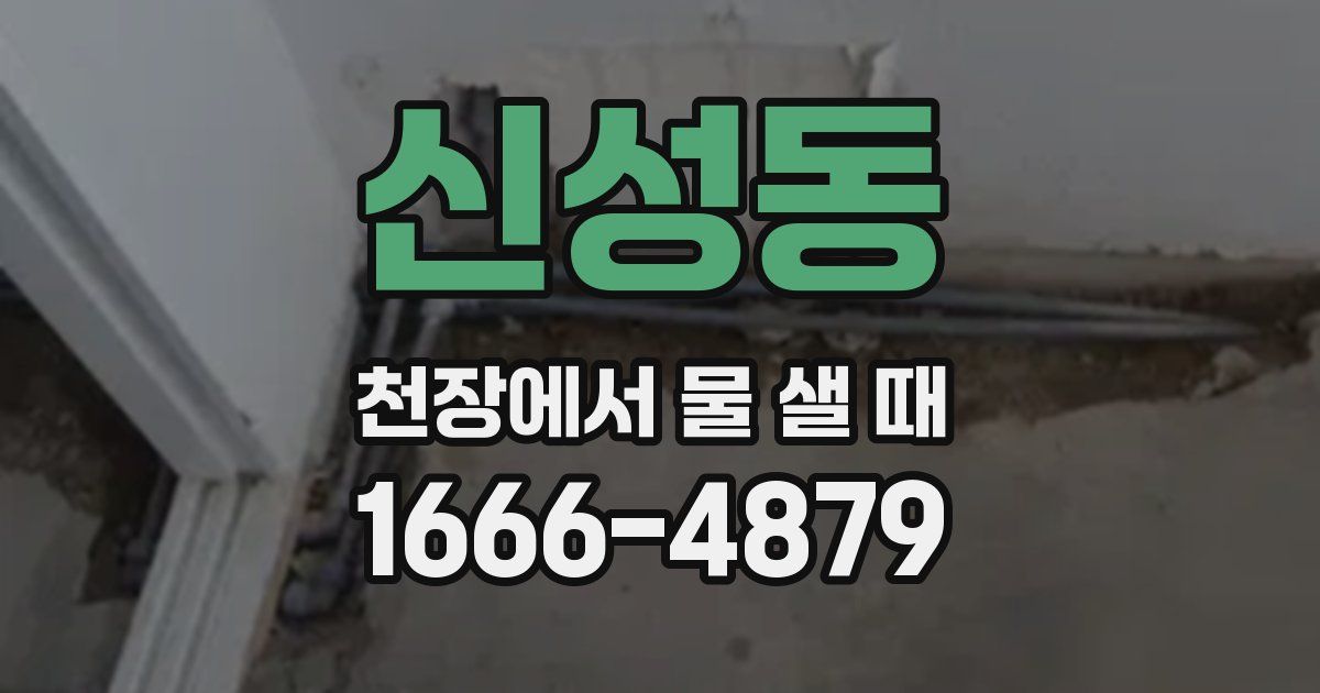 신성동 천장에서 물 샐 때