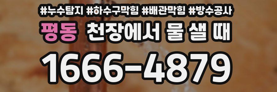 평동 천장에서 물 샐 때