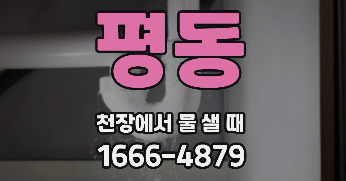 평동 천장에서 물 샐 때