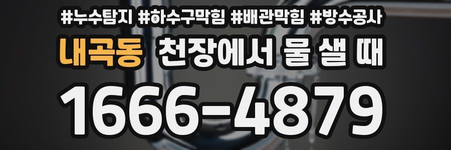 내곡동 천장에서 물 샐 때