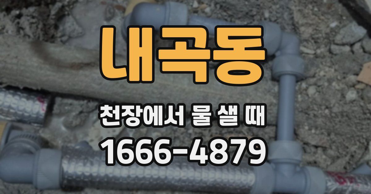 내곡동 천장에서 물 샐 때