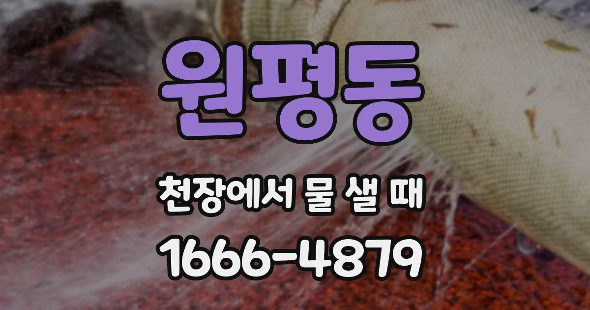 원평동 천장에서 물 샐 때