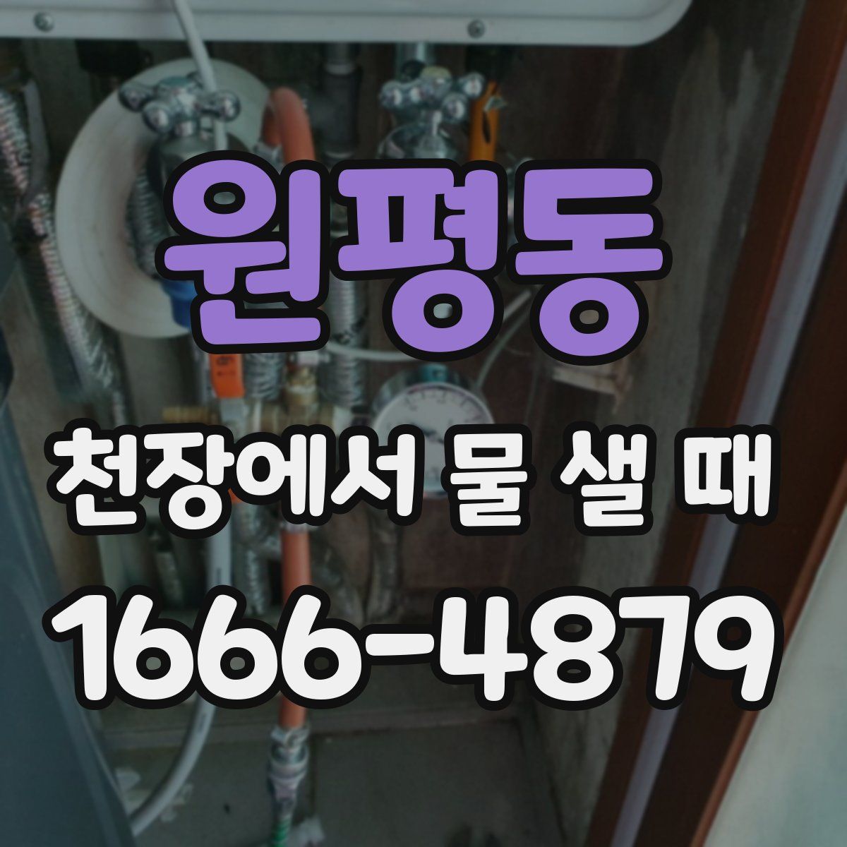 원평동 천장에서 물 샐 때