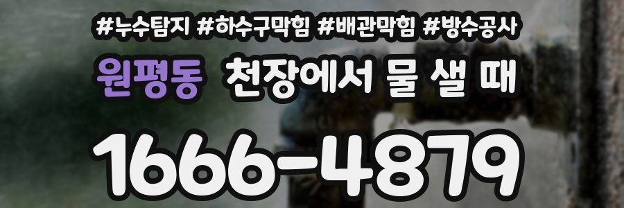 원평동 천장에서 물 샐 때