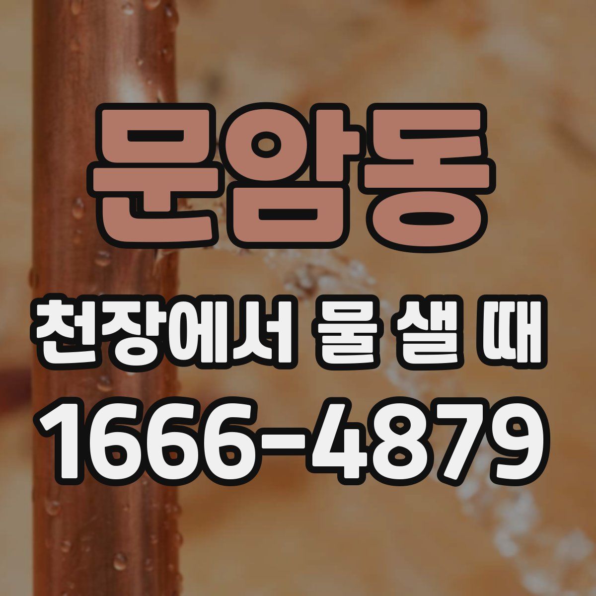 문암동 천장에서 물 샐 때