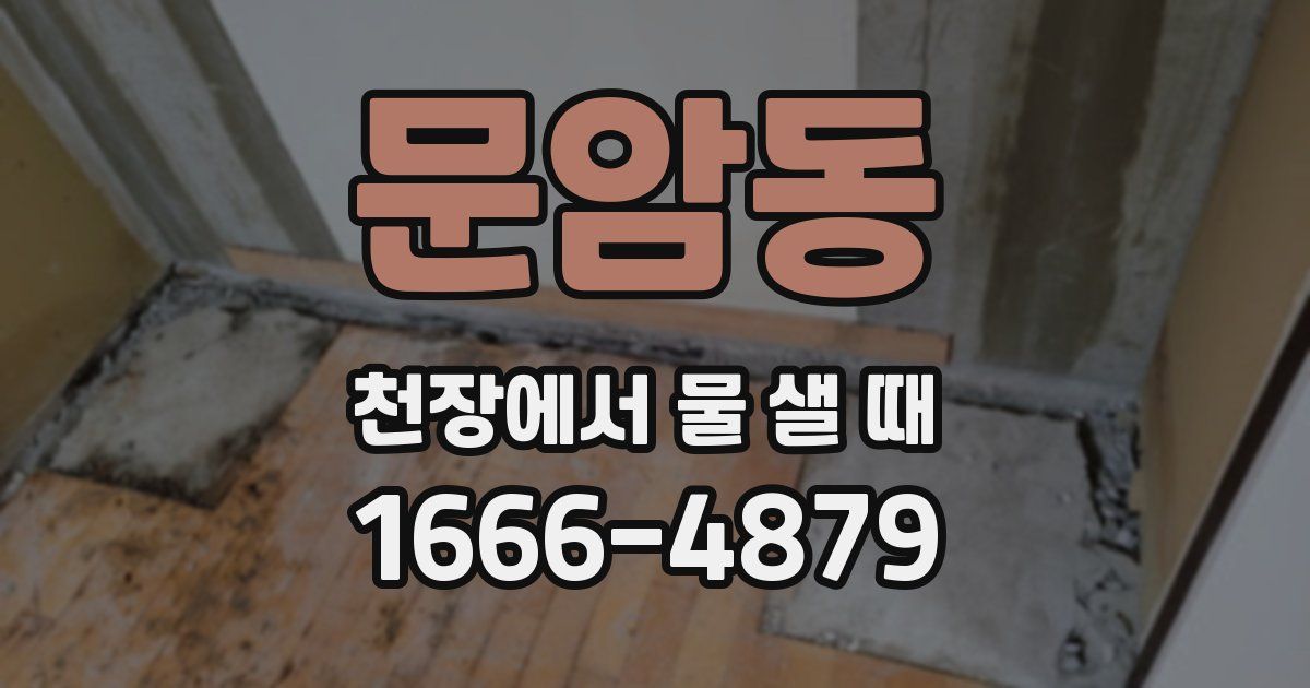 문암동 천장에서 물 샐 때
