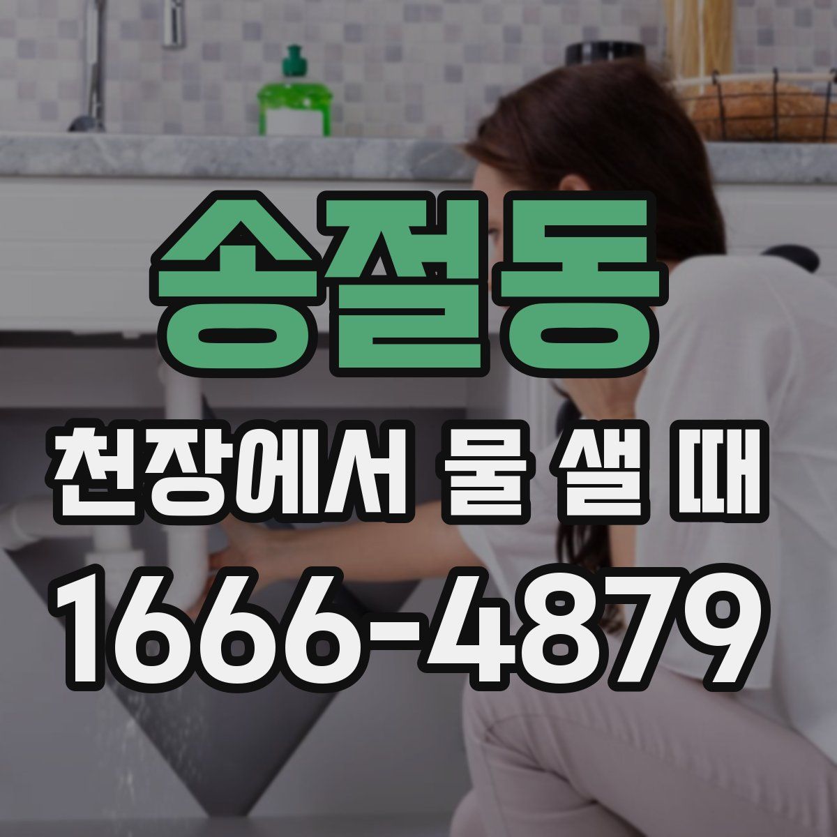 송절동 천장에서 물 샐 때