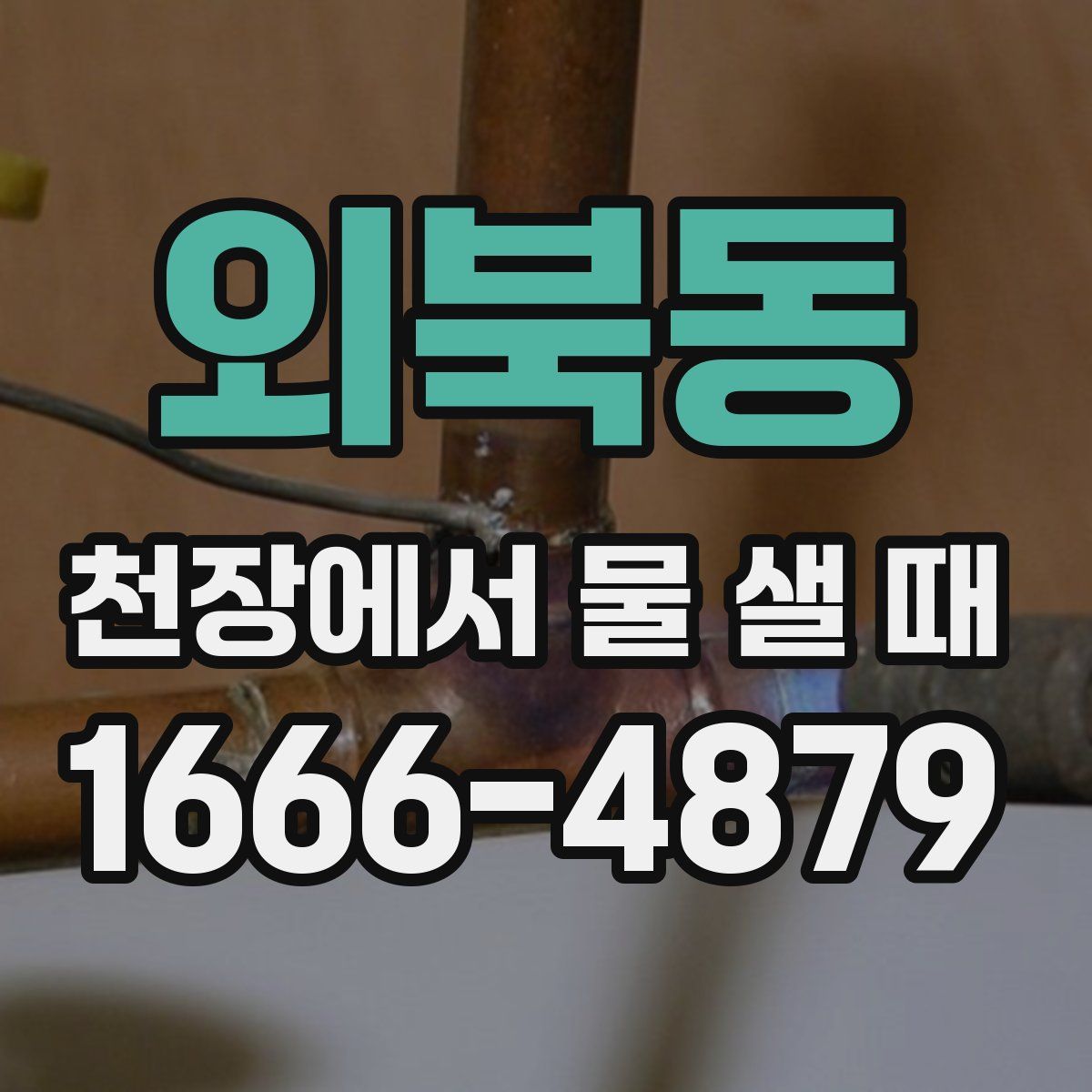 외북동 천장에서 물 샐 때