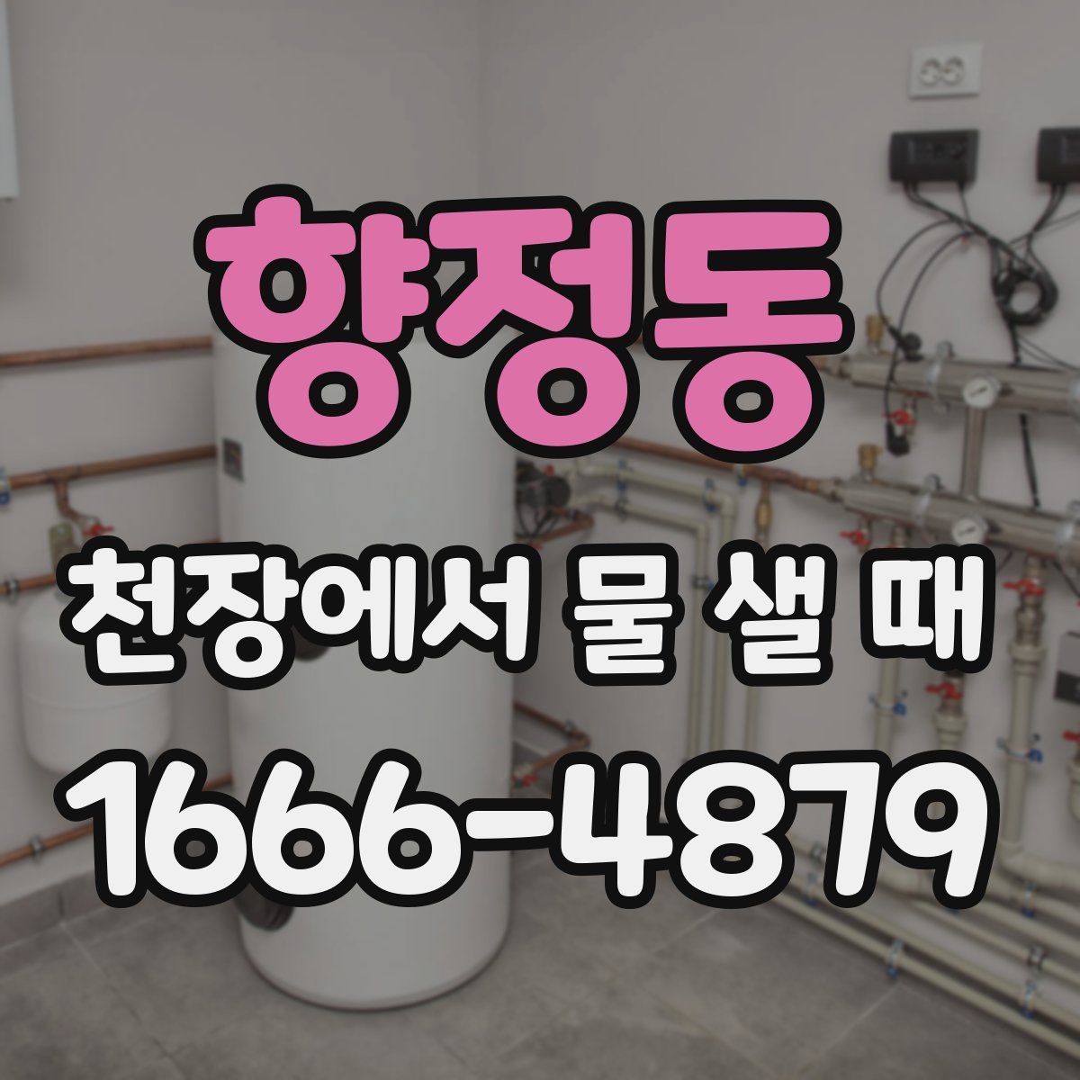 향정동 천장에서 물 샐 때