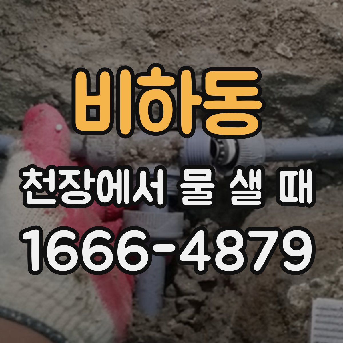 비하동 천장에서 물 샐 때