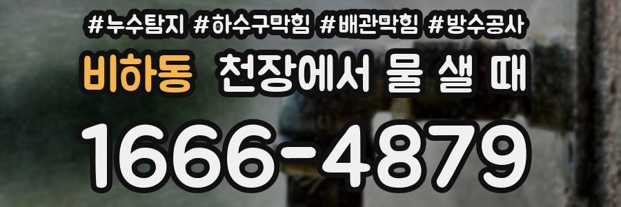 비하동 천장에서 물 샐 때