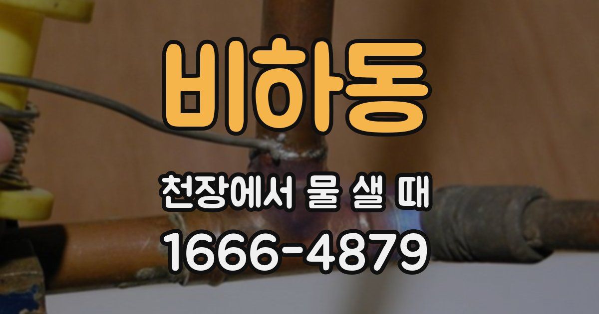 비하동 천장에서 물 샐 때