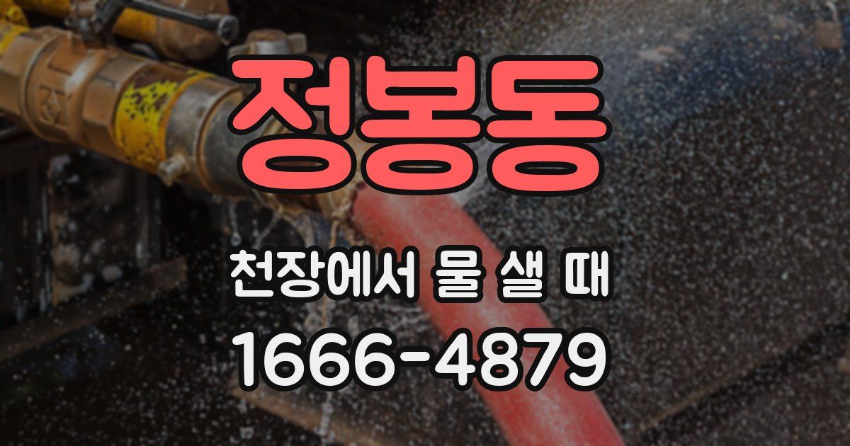 정봉동 천장에서 물 샐 때