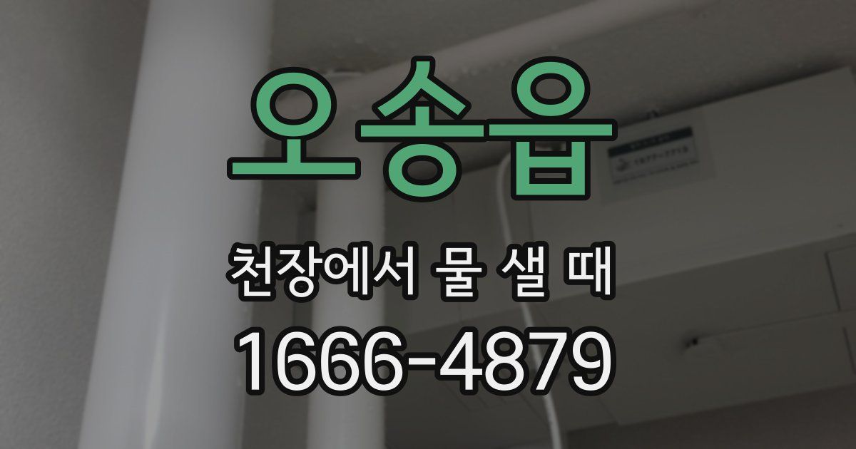 오송읍 천장에서 물 샐 때