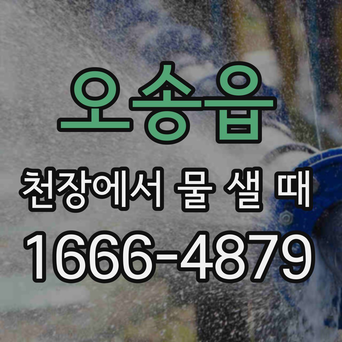 오송읍 천장에서 물 샐 때