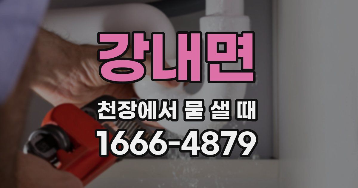 강내면 천장에서 물 샐 때
