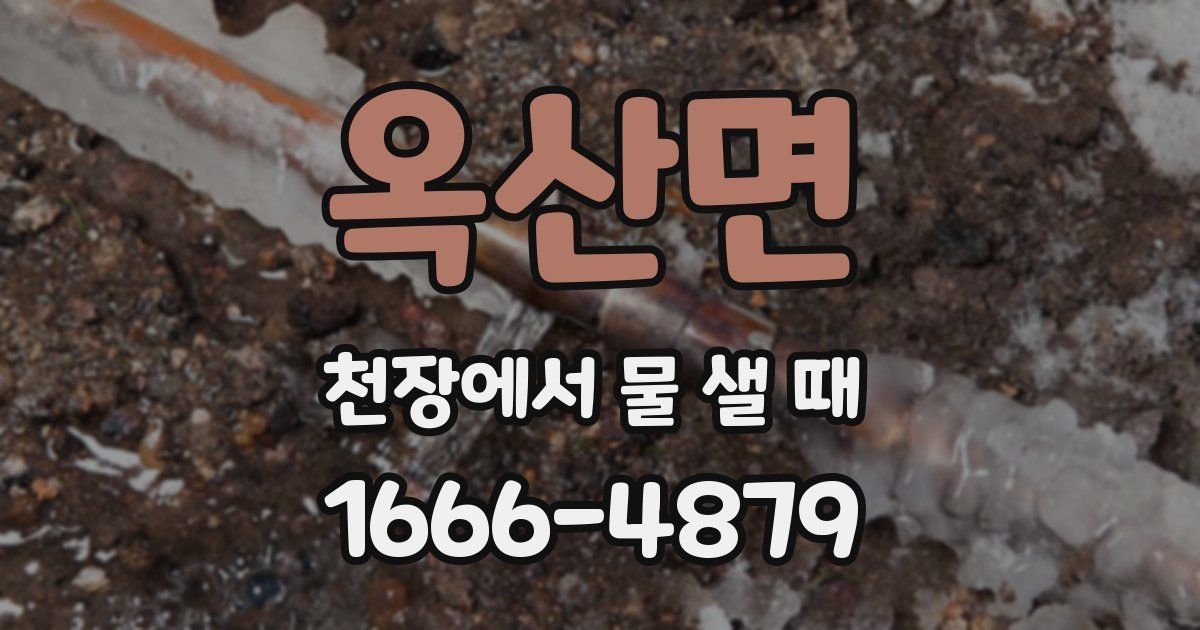 옥산면 천장에서 물 샐 때