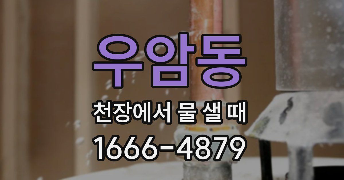 우암동 천장에서 물 샐 때