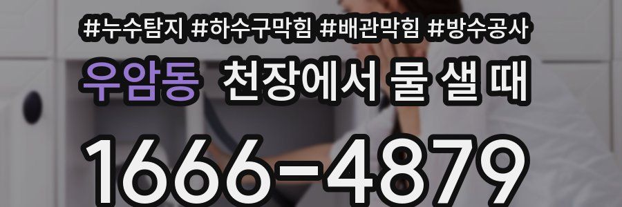 우암동 천장에서 물 샐 때