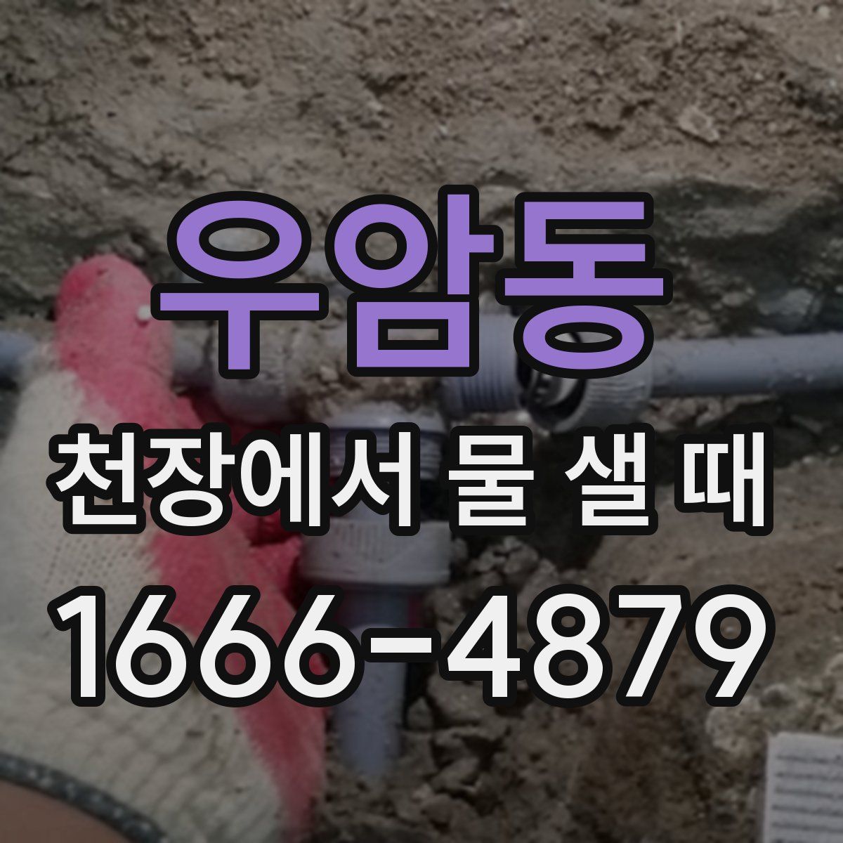 우암동 천장에서 물 샐 때
