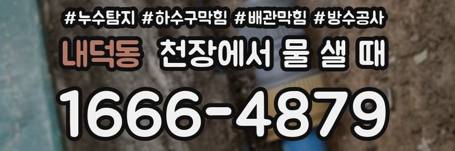 내덕동 천장에서 물 샐 때