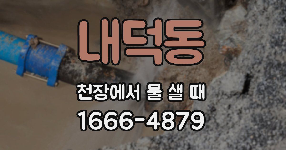 내덕동 천장에서 물 샐 때