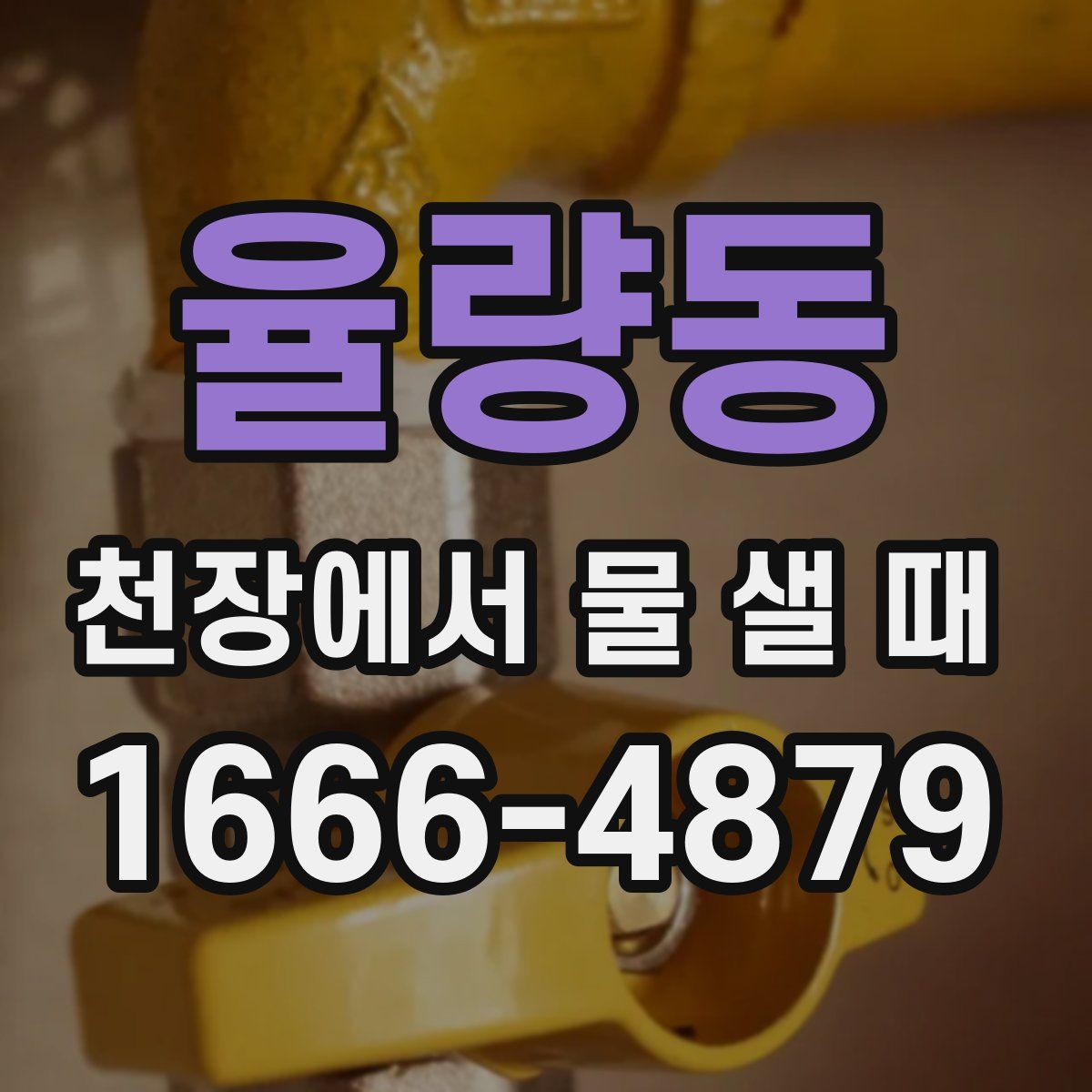 율량동 천장에서 물 샐 때