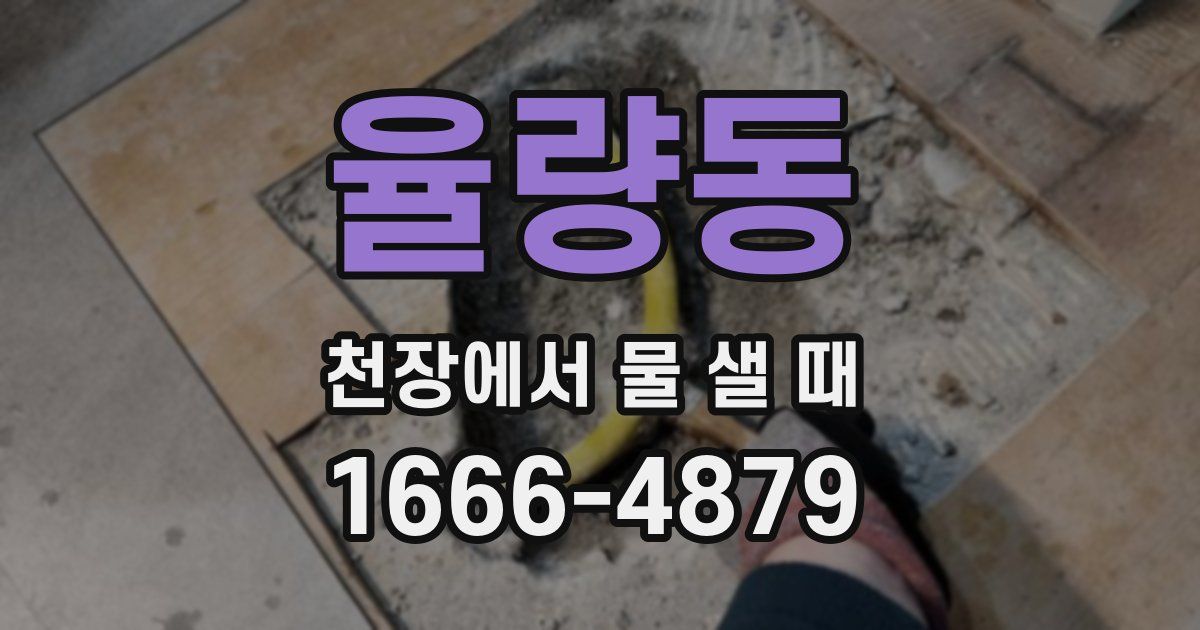 율량동 천장에서 물 샐 때